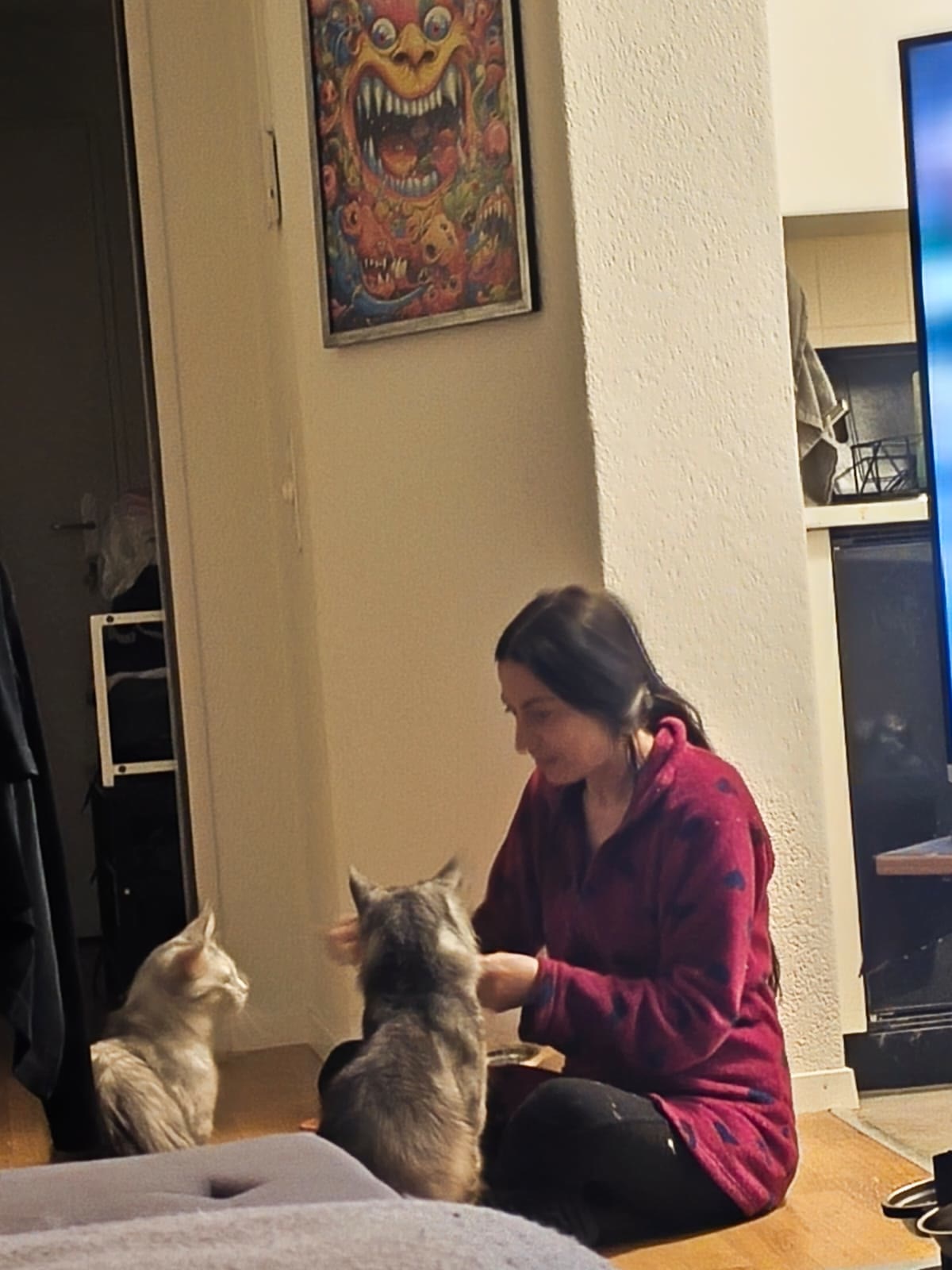 Playtime with the family at home