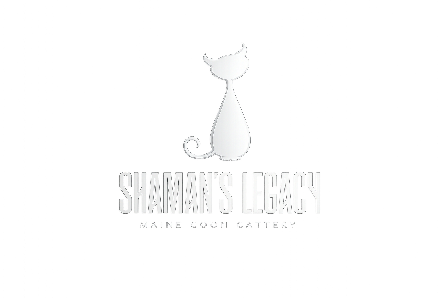 Shaman's Legacy